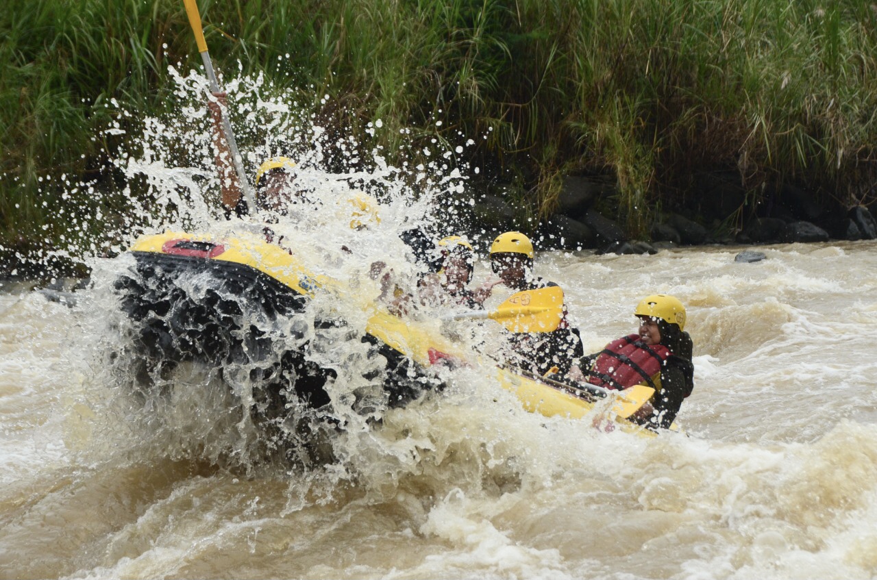 d8fd0ca5-a7f0-47b0-a25b-5feaeaa9026d